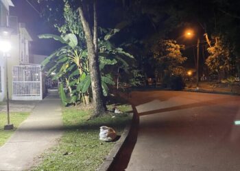 Niña en Villavicencio se salvó de posible rapto de menores