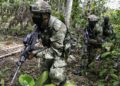 Ataques del ELN: Dos soldados cayeron en un campo minado y otro fue herido por un francotirador