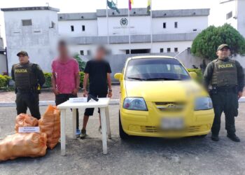 Se robaron ters costales de aguacate en el Meta