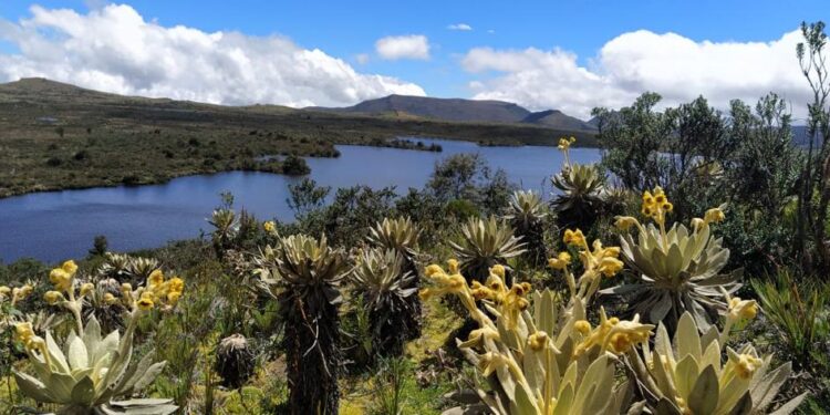 La importancia de los páramos para el medio ambiente y el calentamiento global