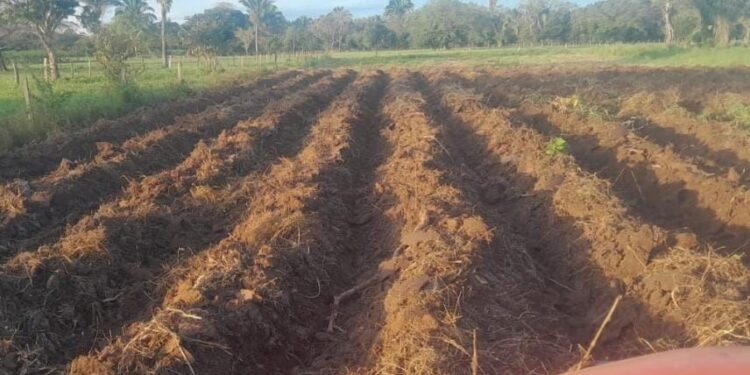 Banco de Maquinaria de Yopal Un motor para el desarrollo del campo