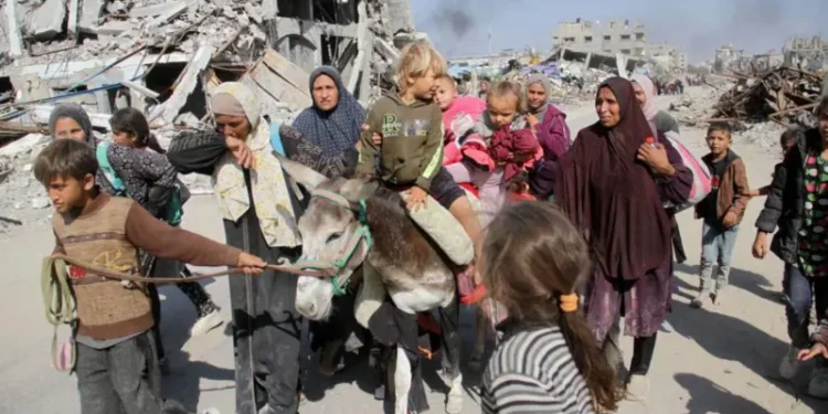 «El ejército israelí está llevando a cabo una limpieza étnica en el norte de Gaza»