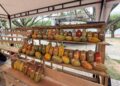 Éxito en la IV Feria Departamental del cacao y el chocolate en Tame