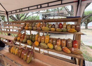 Éxito en la IV Feria Departamental del cacao y el chocolate en Tame