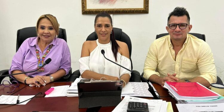 Diputados aprobaron presupuesto de la Gobernación de Arauca para 2025