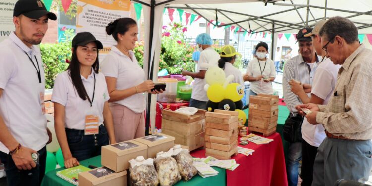 Inauguración del primer festival de ídolos emprendedores en Arauca