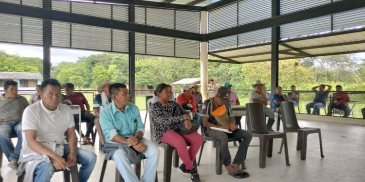 Avances significativos en la salud de nuestras comunidades indígenas