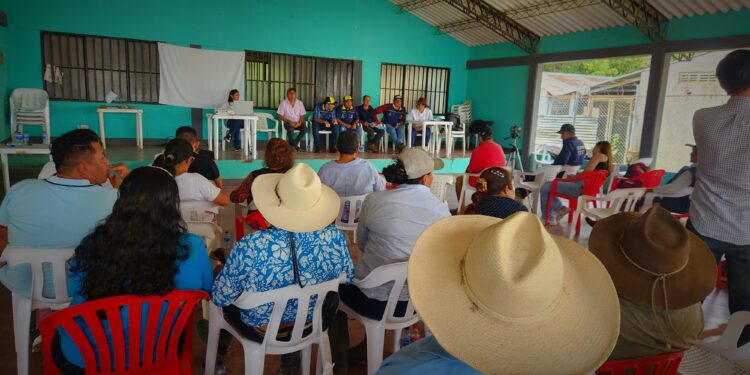 No más muerte de animales en las zonas más críticas por sequía en Casanare