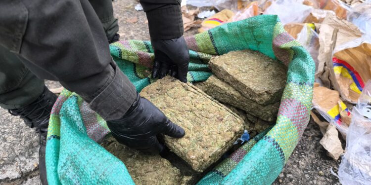 Duro golpe al narcotráfico en Casanare: Más de una tonelada de marihuana incautada