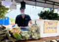 Inicia nuestro mercado campesino en el marco del tercer Festival del Arraigo Llanero Casanare Palpita