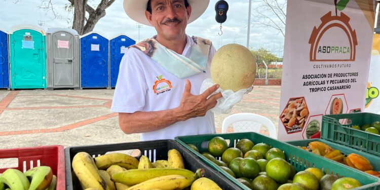 Inicia nuestro mercado campesino en el marco del tercer Festival del Arraigo Llanero Casanare Palpita