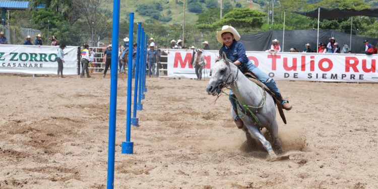 Aparte y encierro de ganado: éxito rotundo en el tercer Festival Mundial del Arraigo Llanero ‘Casanare Palpita’
