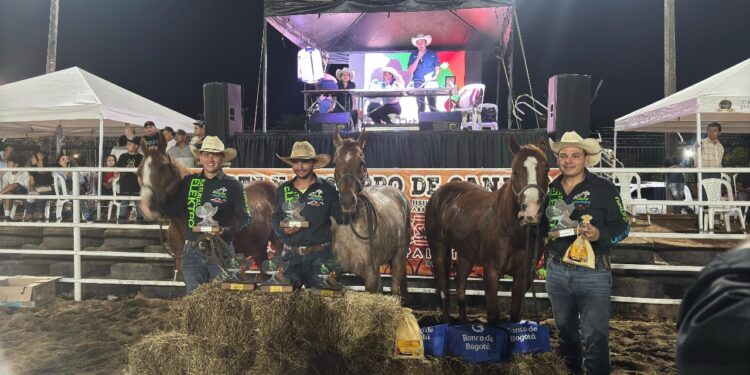 Aparte y encierro de ganado: éxito rotundo en el tercer Festival Mundial del Arraigo Llanero ‘Casanare Palpita’