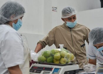 Alcaldía de Sogamoso aseguró más de $ 1.400 millones  para garantizar el PAE hasta el final del calendario escolar