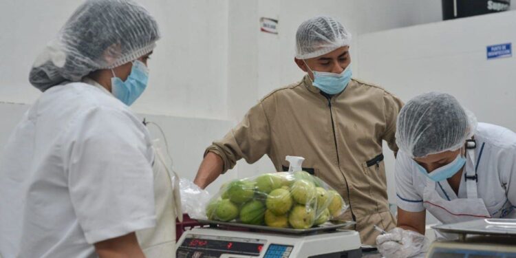 Alcaldía de Sogamoso aseguró más de $ 1.400 millones  para garantizar el PAE hasta el final del calendario escolar