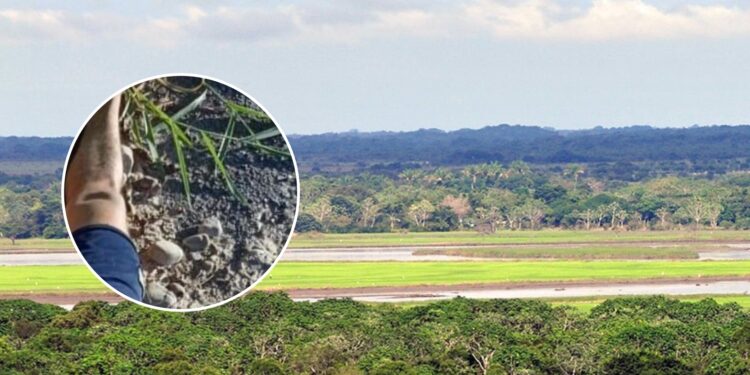 Crimen en el Piedemonte Llanero