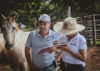 Vacunación equina en Yopal: Un avance significativo para la salud animal y humana