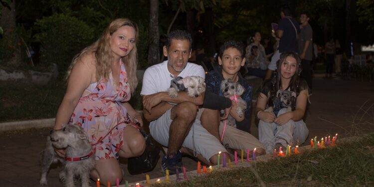 Yopal se ilumina con la magia de la Navidad
