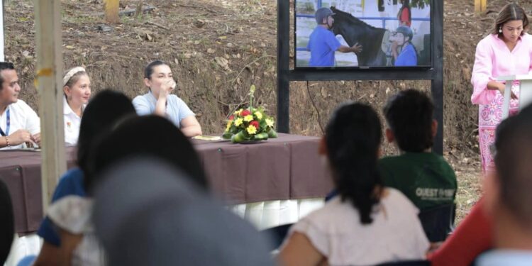 ¡48 Razones para Celebrar! Cierre del Ciclo 3-2024 del Programa “Plan Padrino”