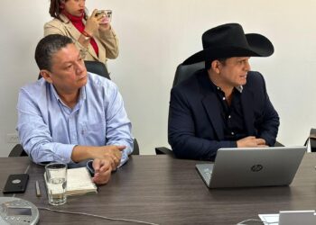 Avances para abordar la crisis arrocera en Casanare