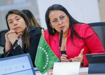 Arauca participa activamente en la Mesa de Salud de la FND en Bogotá