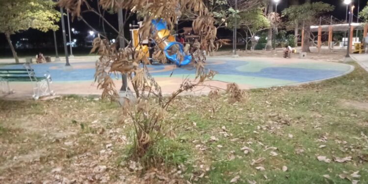 Se mueren las plantas de los parques en Arauca