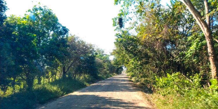 Plan de Recuperación Vial 2.0 impulsa la movilidad en San Luis de Palenque