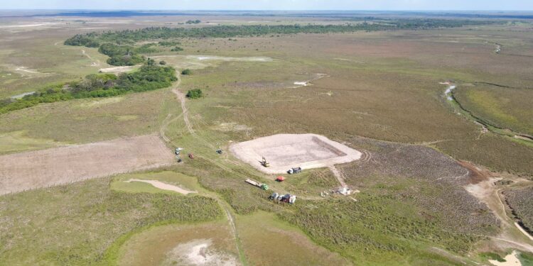 Zorro cuida chigüiros en riesgo de muerte: