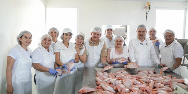71 familias Campesinas de Asovergel impulsan el cultivo de tilapia roja en La Arenosa