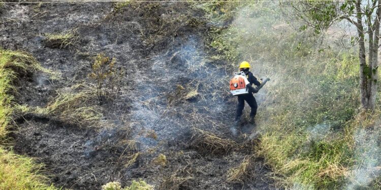 Incendio forestal afecta 1.5 hectáreas en la Vereda La Calceta, Yopal