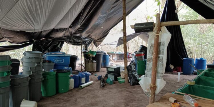 Otro golpe contundente, desmantelado megalaboratorio de cocaína en Casanare