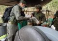 Otro golpe contundente, desmantelado megalaboratorio de cocaína en Casanare