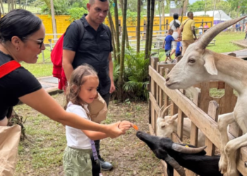 Más de 10.000 asistentes en la carpa Malocakids, en Expomalocas 2025