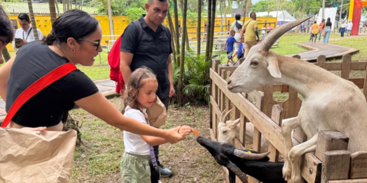 Más de 10.000 asistentes en la carpa Malocakids, en Expomalocas 2025