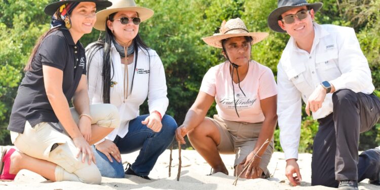 Casanare fortalece la conservación de la tortuga charapa, terecay y galápaga con nueva alianza estratégica