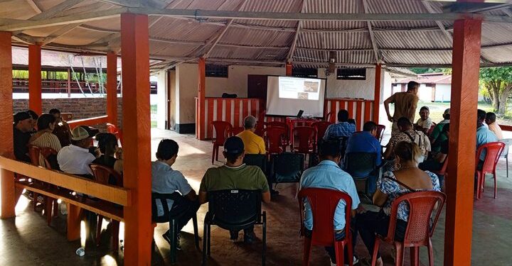 Arauca impulsa el bienestar animal con certificación a transportadores