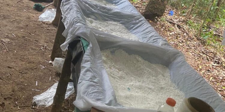 Duro golpe contra el narcotráfico en Casanare