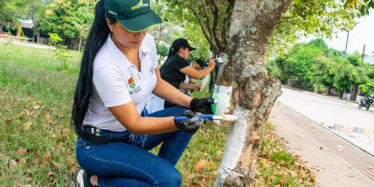 Jornada de aseo y cuidado de árboles en el parque principal de La Chaparrera