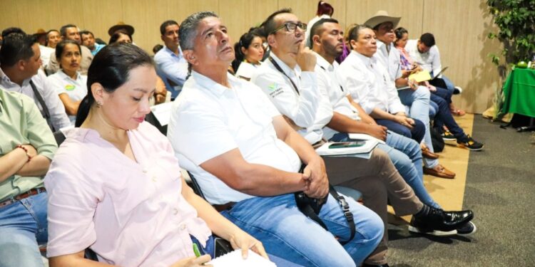 CONSEA fortalece la agroindustria en Casanare con amplia participación de gremios y entidades