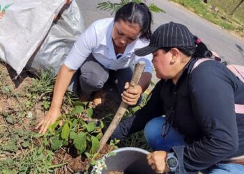 Yopal florece con el cuidado de sus plantas