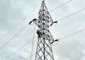 Enelar avanza en la construcción de torres de energía en zona rural de Tame