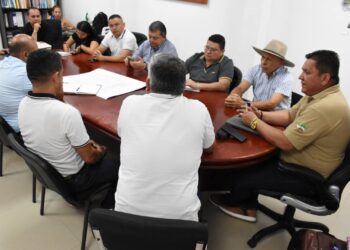 Centro agroindustrial y energías limpias en el Piedemonte Llanero