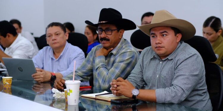 Mesa de Trabajo por Nunchía