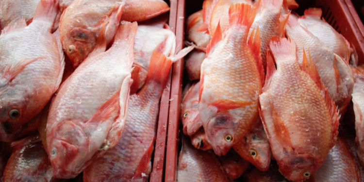 ¡A comprar pescado! Llega la subienda para esta Semana Santa