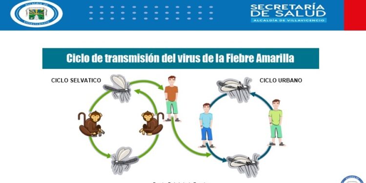 Resumen de medidas y posibles casos de Fiebre Amarilla en Villavicencio