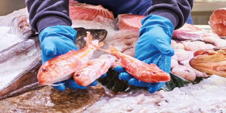 Casanare celebra la Semana Mayor con fervor y precaución en el consumo de pescado