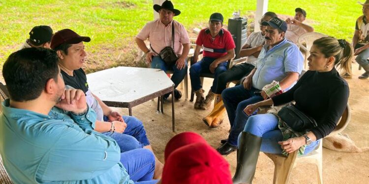 Más de 300 familias beneficiadas con mejoramiento de vías terciarias