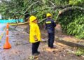 Bomberos de Yopal Responden a Emergencia por Caída de Árbol Debido a Fuertes Lluvias