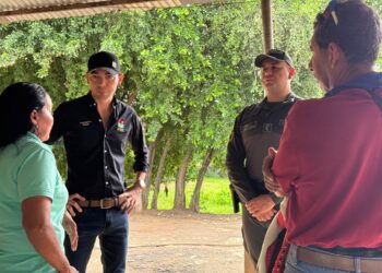 Desmantelado matadero clandestino de ganado en zona rural de Arauca