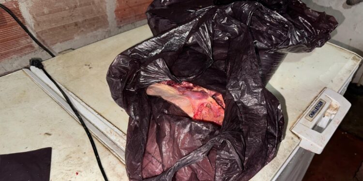 Desmantelado matadero clandestino de ganado en zona rural de Arauca
